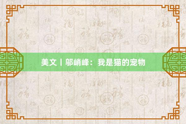 美文丨邬峭峰：我是猫的宠物