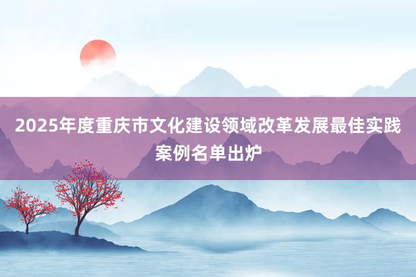 2025年度重庆市文化建设领域改革发展最佳实践案例名单出炉