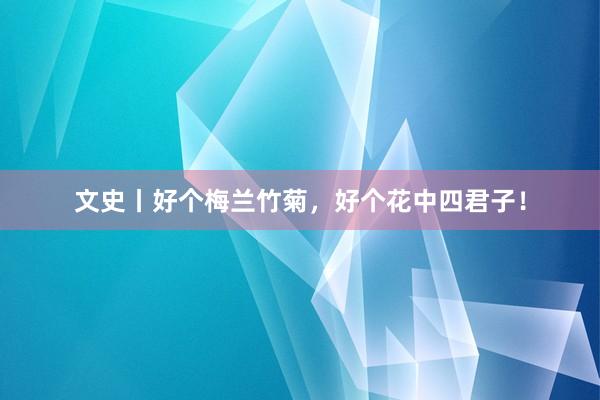 文史丨好个梅兰竹菊，好个花中四君子！