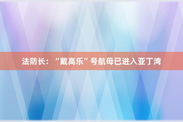 法防长：“戴高乐”号航母已进入亚丁湾