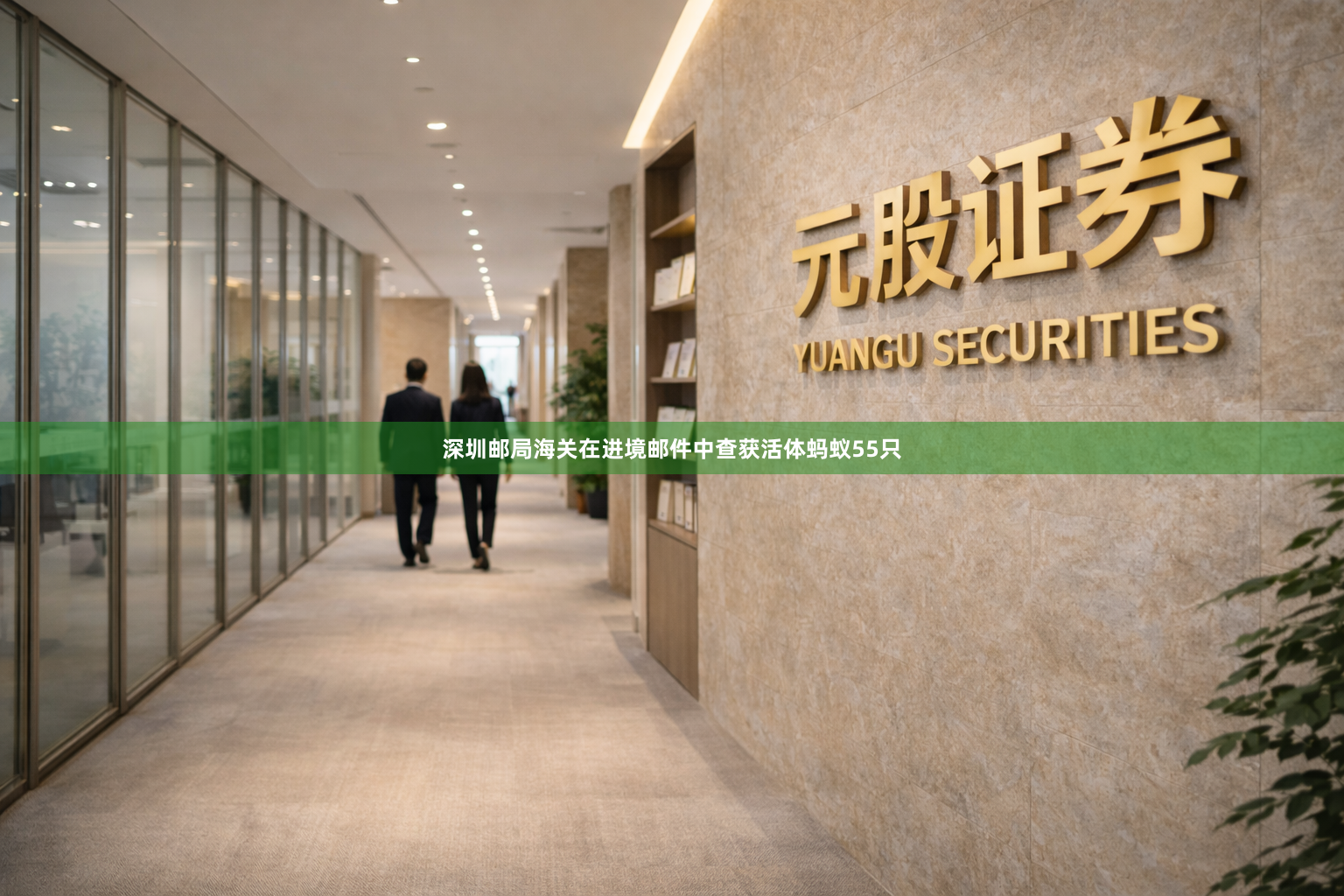 深圳邮局海关在进境邮件中查获活体蚂蚁55只
